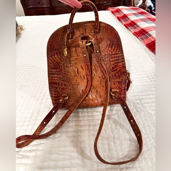 Beautiful Brahmin Backpack ! - Picture 3 of 3